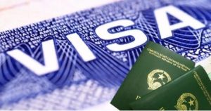 Hộ chiếu Việt Nam cùng trang dấu visa cận cảnh, minh họa dịch vụ visa chuyên nghiệp của Lucky Cat Việt Nam